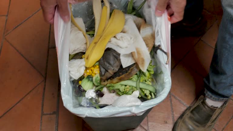 Best Property Management Cleanouts  in Leadwood, MO